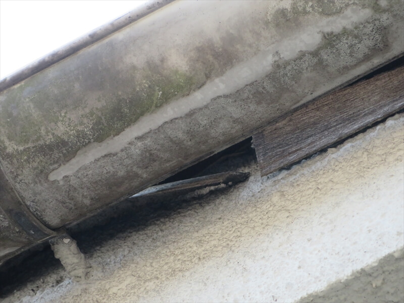 雨樋と外壁の隙間から、屋根の下地の木材が取れかかっているのがわかります。